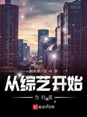 《从综艺开始当巨星》小说封面