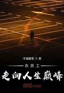 《农民工走向人生巅峰》小说封面
