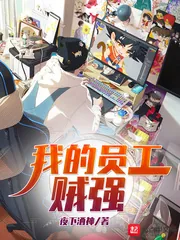 《我的员工贼强》小说封面