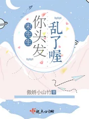 《宋先生你头发乱了喔》小说封面