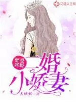 《醉爱成瘾：二婚小娇妻》小说封面
