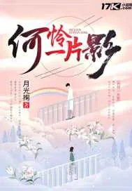《何怜一片影》小说封面