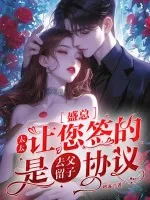 《盛总，太太让您签的是去父留子协议》小说封面