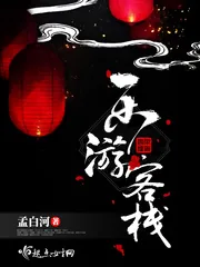 《乐游客栈》小说封面