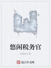 《悠闲税务官》小说封面