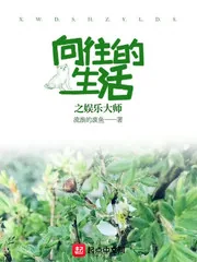 《向往的生活之娱乐大师》小说封面