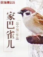 《家巴雀儿》小说封面