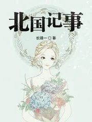 《北国记事》小说封面