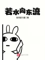 《若水向东流》小说封面