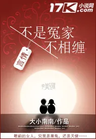 《不是冤家不相缠》小说封面