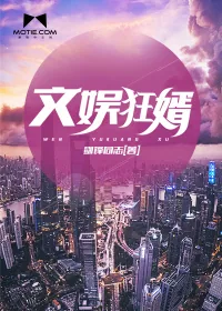 《文娱狂婿》小说封面
