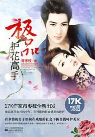 《极品护花高手》小说封面
