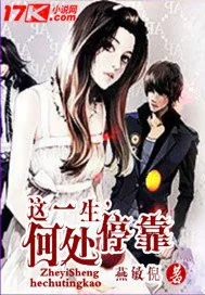 《这一生，何处停靠》小说封面