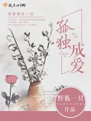 《孤独成爱》小说封面