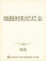 《微醺时刻忆红尘》小说封面
