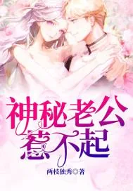 《神秘老公惹不起》小说封面