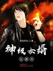 《神级女婿在都市》小说封面