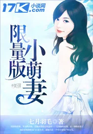 《限量版小萌妻》小说封面