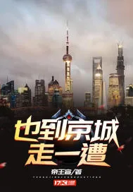 《也到京城走一遭》小说封面