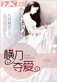 《横刀夺爱》小说封面