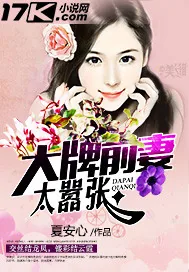 《大牌前妻太嚣张》小说封面