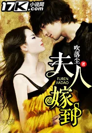 《夫人嫁到》小说封面