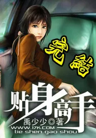 《贴身高手》小说封面