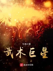《武术巨星》小说封面