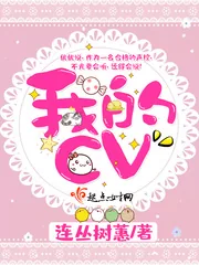 《我的CV》小说封面