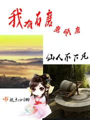 《我有石磨磨啊磨》小说封面