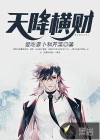 《天降横财》小说封面