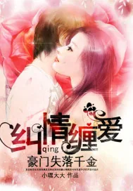 《纠情缠爱：豪门失落千金》小说封面