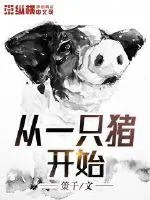 《从一只猪开始》小说封面