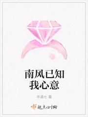 《南风已知我心意》小说封面