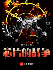 《芯片的战争》小说封面