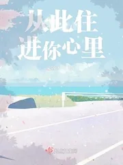 《从此住进你心里》小说封面