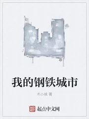 《我的钢铁城市》小说封面