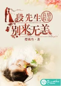 《真情假意：段先生别来无恙》小说封面
