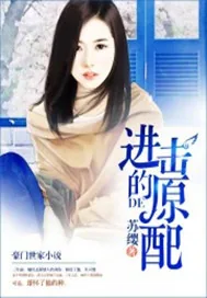 《进击的原配》小说封面