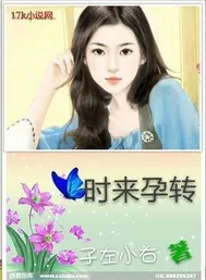 《时来孕转》小说封面