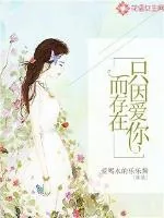 《只因爱你而存在》小说封面