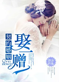 《契约婚姻，娶一赠一》小说封面