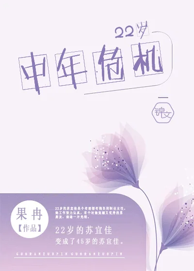《22岁中年危机》小说封面