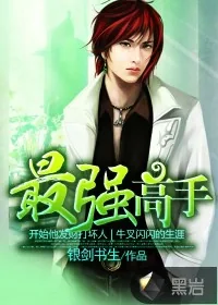 《最强高手》小说封面