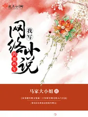 《我写网络小说的那些年》小说封面