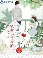 《宅女小青梅的恋爱手册》小说封面