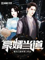 《豪婿当道》小说封面