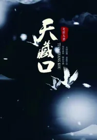《天藏口》小说封面