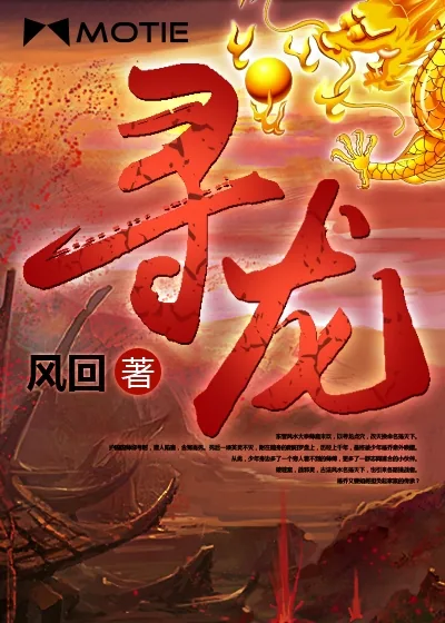 《寻龙》小说封面