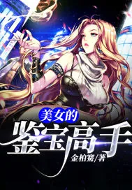 《美女的鉴宝高手》小说封面